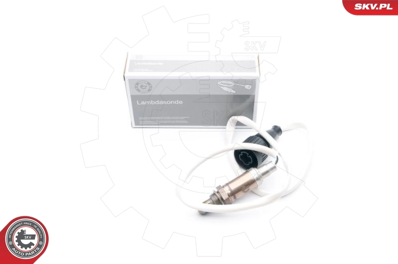 Oxygen Sensor